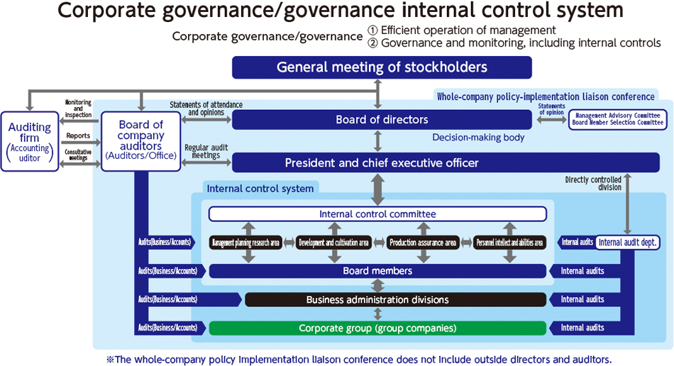 Corporate governance/governance internal control system