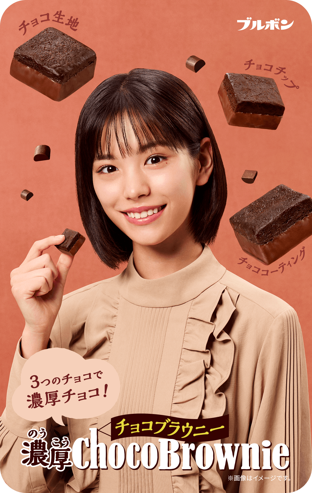 ブルボン 濃厚チョコブラウニー