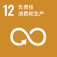 SDG 12