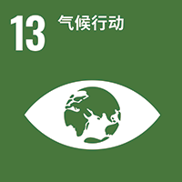 SDG 13