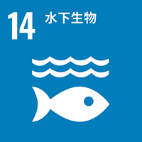 SDG 14