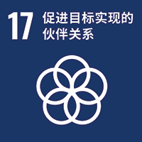 SDG 17