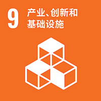 SDG 9