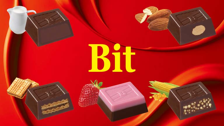 Bit