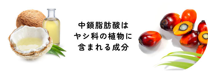 中鎖脂肪酸はヤシ科の植物に含まれる成分