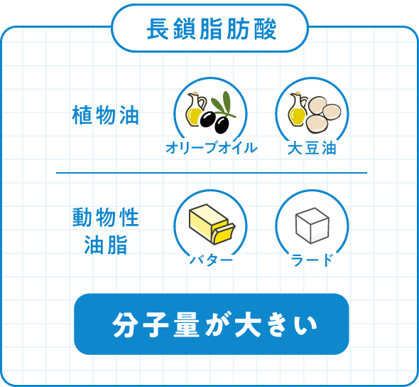 長鎖脂肪酸 植物油 オリーブオイル 大豆油 動物性油脂 バター ラード 分子量が大きい