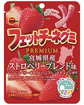 チョコダイジェスティブビスケット | 商品情報 | ブルボン