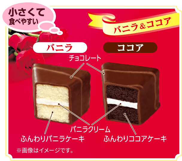 ミニシルベーヌ FAMILY SIZE