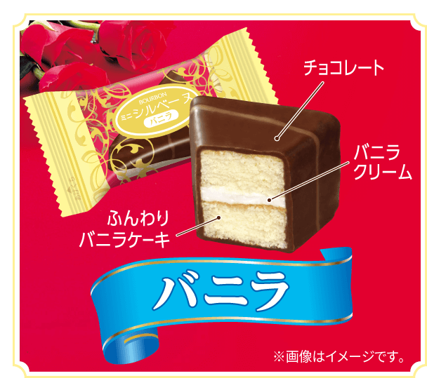 ミニシルベーヌ FAMILY SIZE
