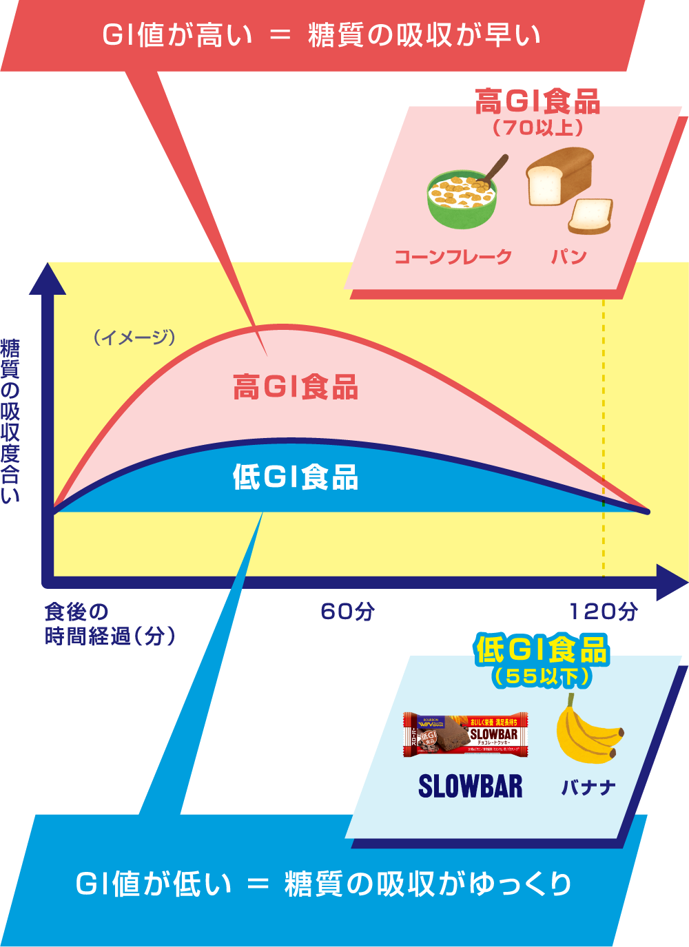 糖質の吸収度合い