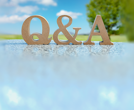 Q&A