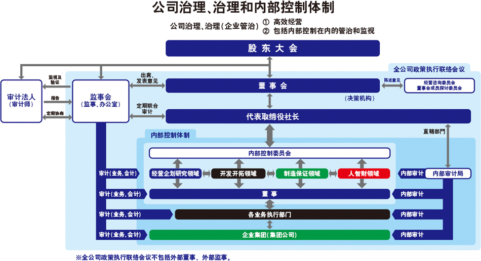 公司治理、治理和内部控制体制